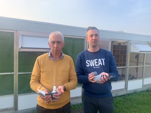 Bombeke Luc: A breeding loft with world class genes