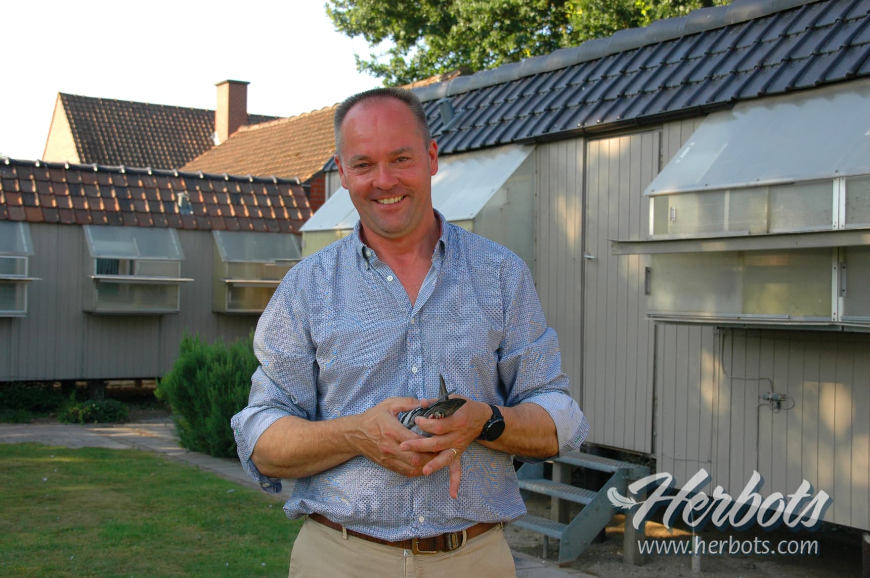 Chris De Backer - Beveren-Leie:  1st Provincial Fontenay of 2,682b. (West Flanders)