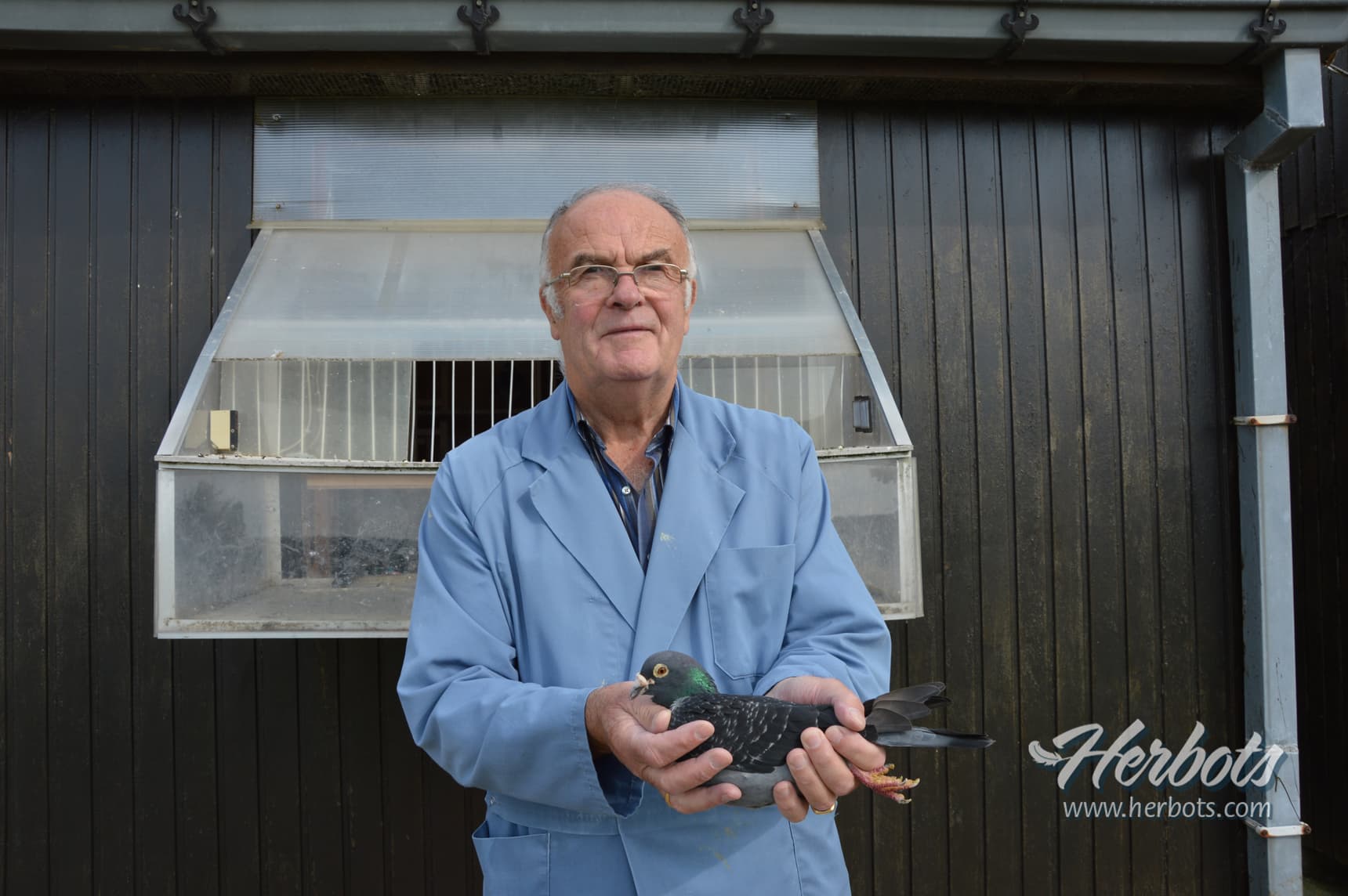 Emiel Denys – Tielt For decades a top runner on the marathon and OLR races