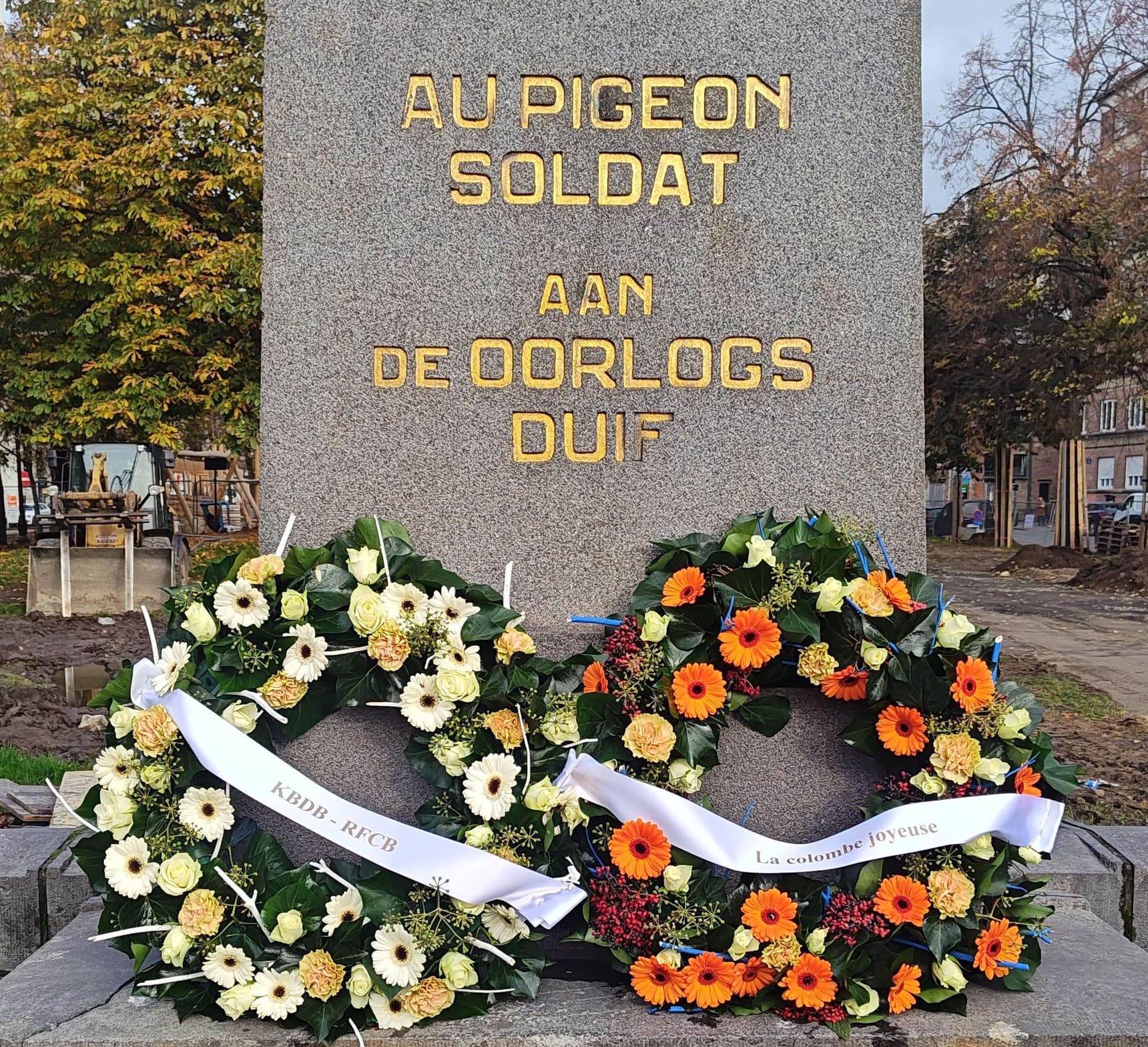 Honoring War Pigeon November 11