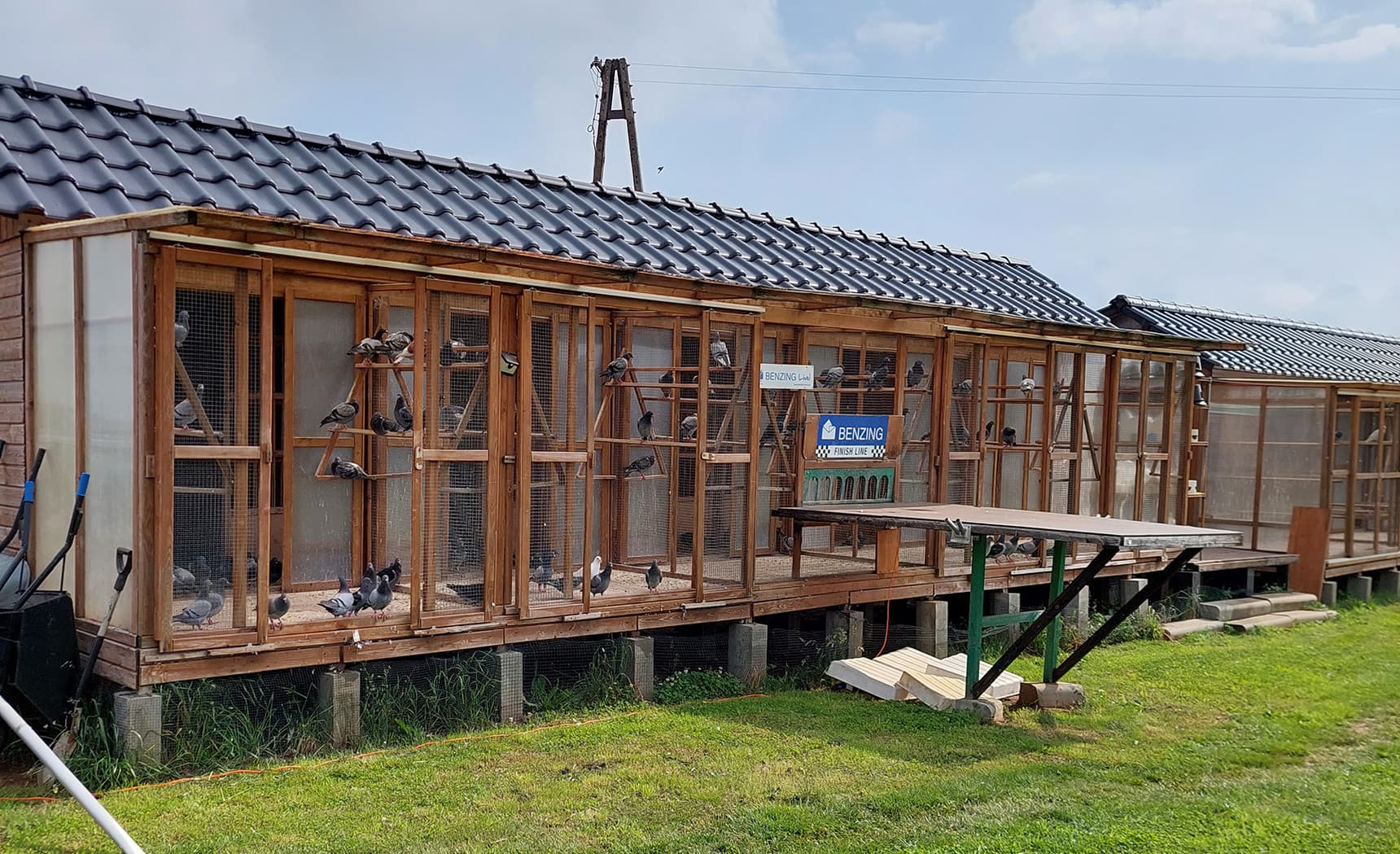 Morel Team Familly loft 2022