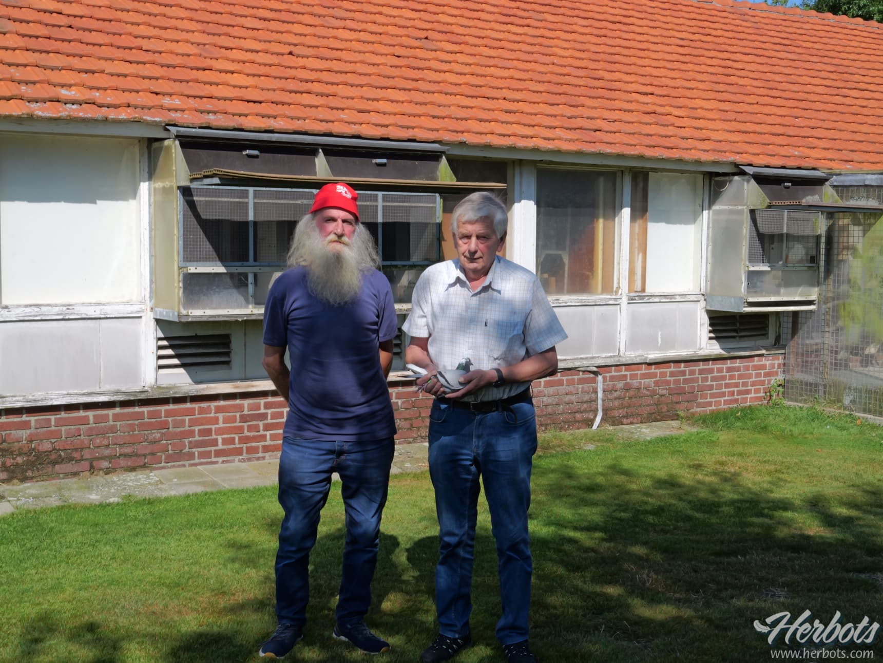 Associatie Van de Schans (Hamont) wins the 1st Provincial Argenton Limburg and the 1st Nat.Z Argenton for yearlings and old birds