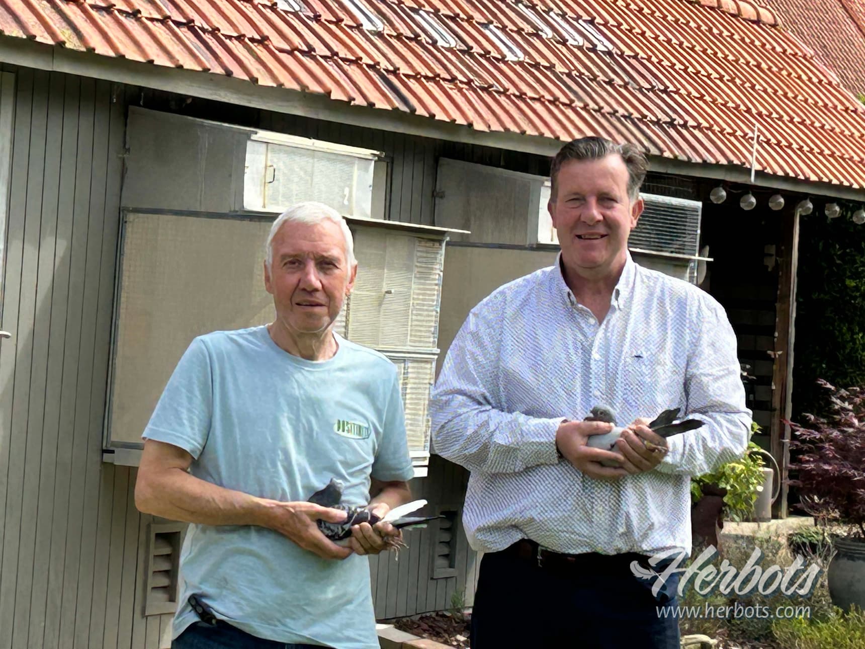 Victoire pour Alain Créteur d’Amougies, au S-Nat. Châteauroux AWC (Vieux) 1 et 2 plus rapide de 4.024 pigeons