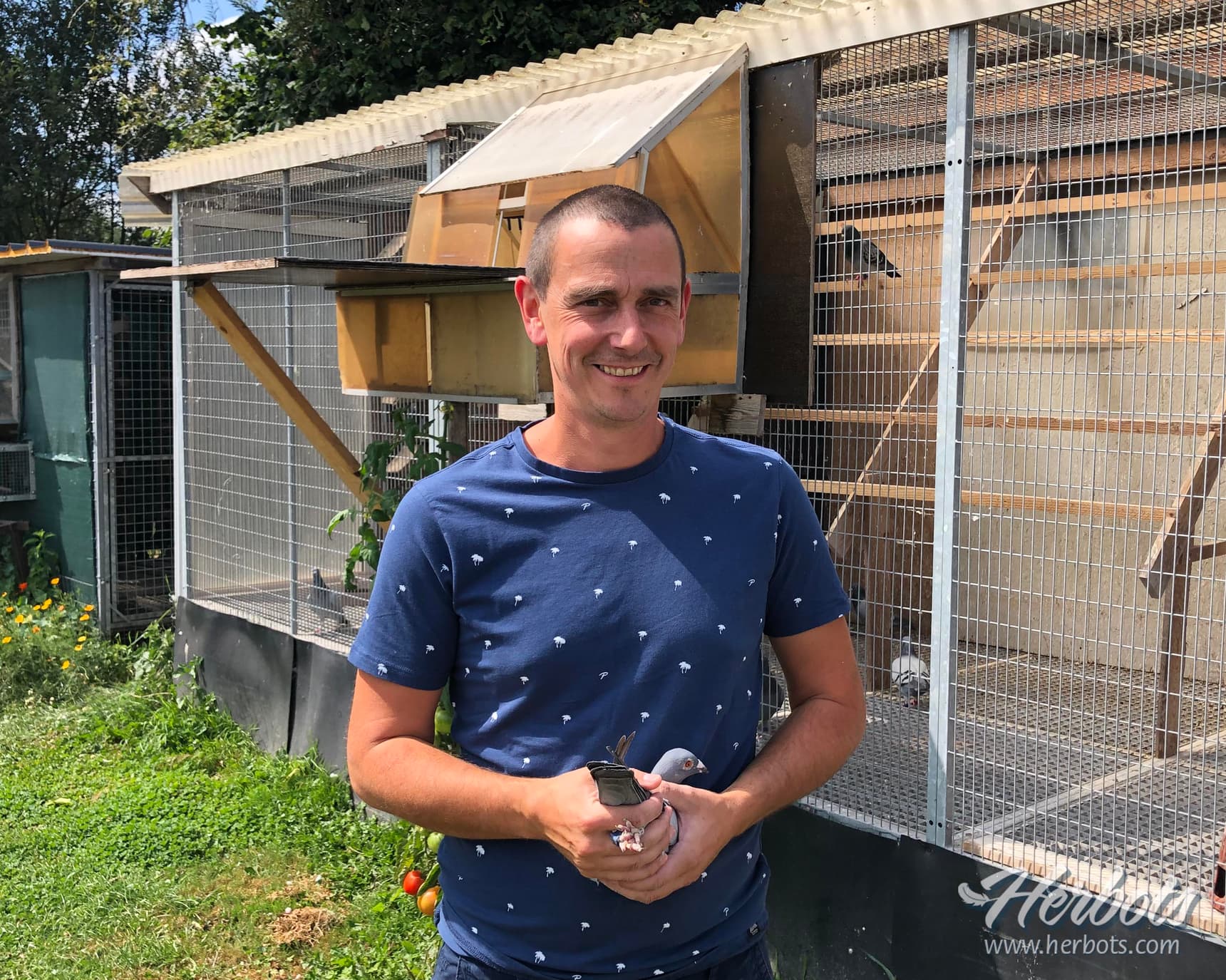 Frederik De Wolf from Oudegem – A colony in full growth