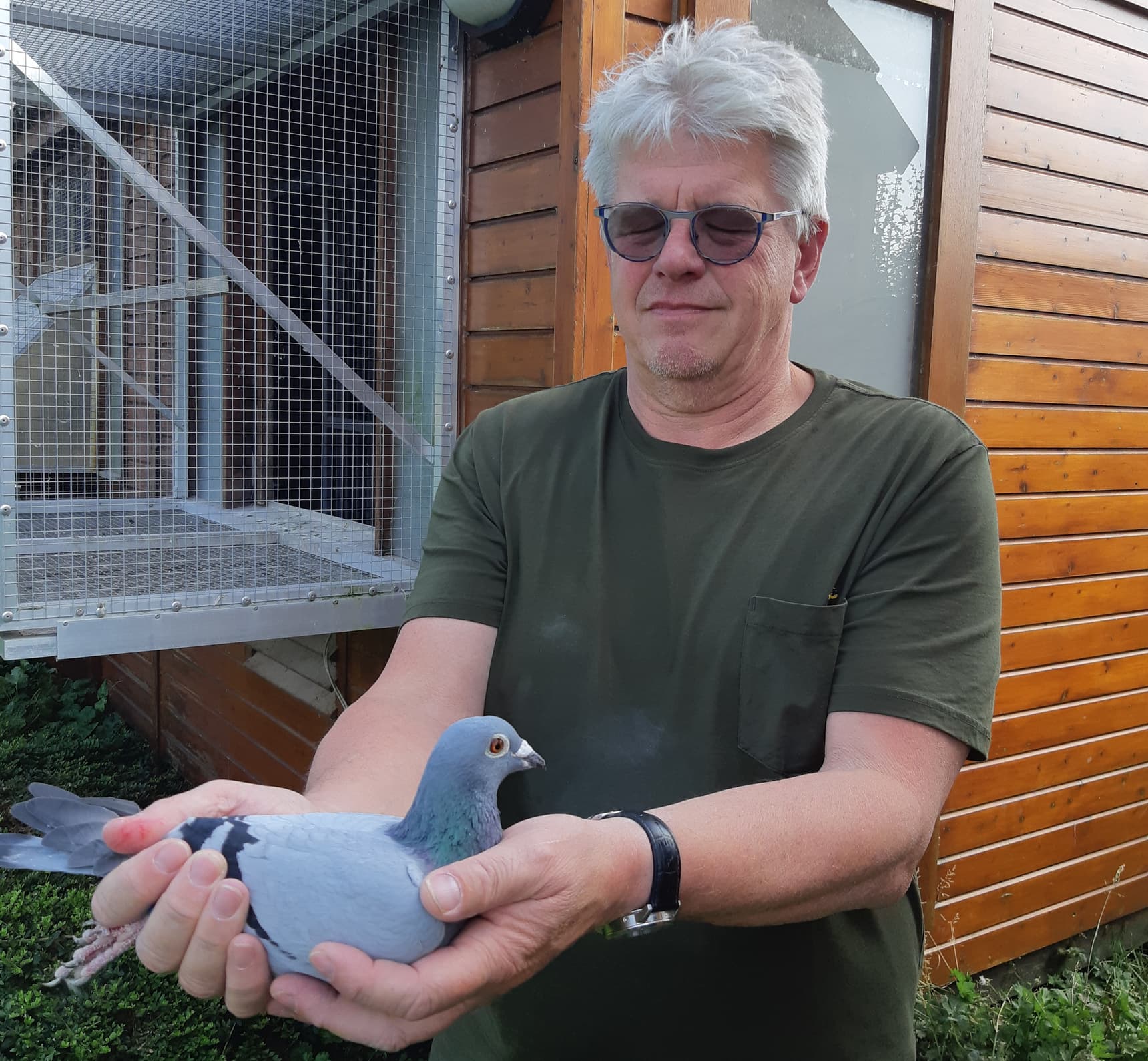 Dirk Martens (Deinze) strikes on Pau, 1st Prov. East Flanders (4th Nat. against 3,368 pigeons)