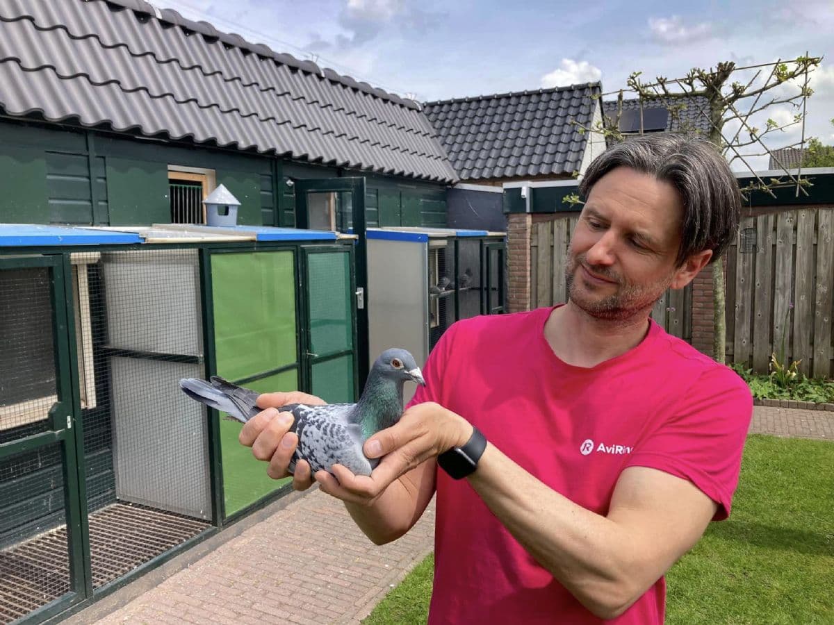 Will & Falco Ebben victoire avec le topper "Pandemic" 1er Quievrain 4.729 pigeons