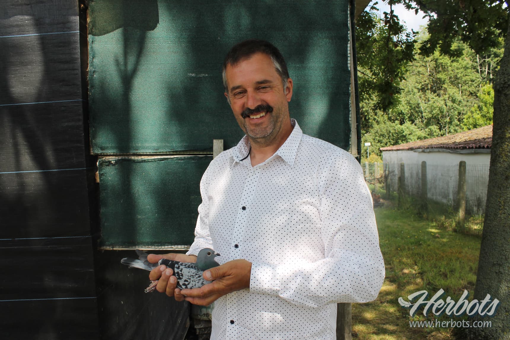 De beste Barcelonaduif 2019-2020 huist bij Filip Porrez (Kruisem).