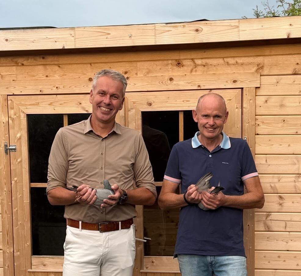 “Falckenborg-Nijhof (Beltrum-NL) sluit seizoen in stijl af: 1e, 2e, 3e, 4e en 6e tegen 6.865 duiven!”