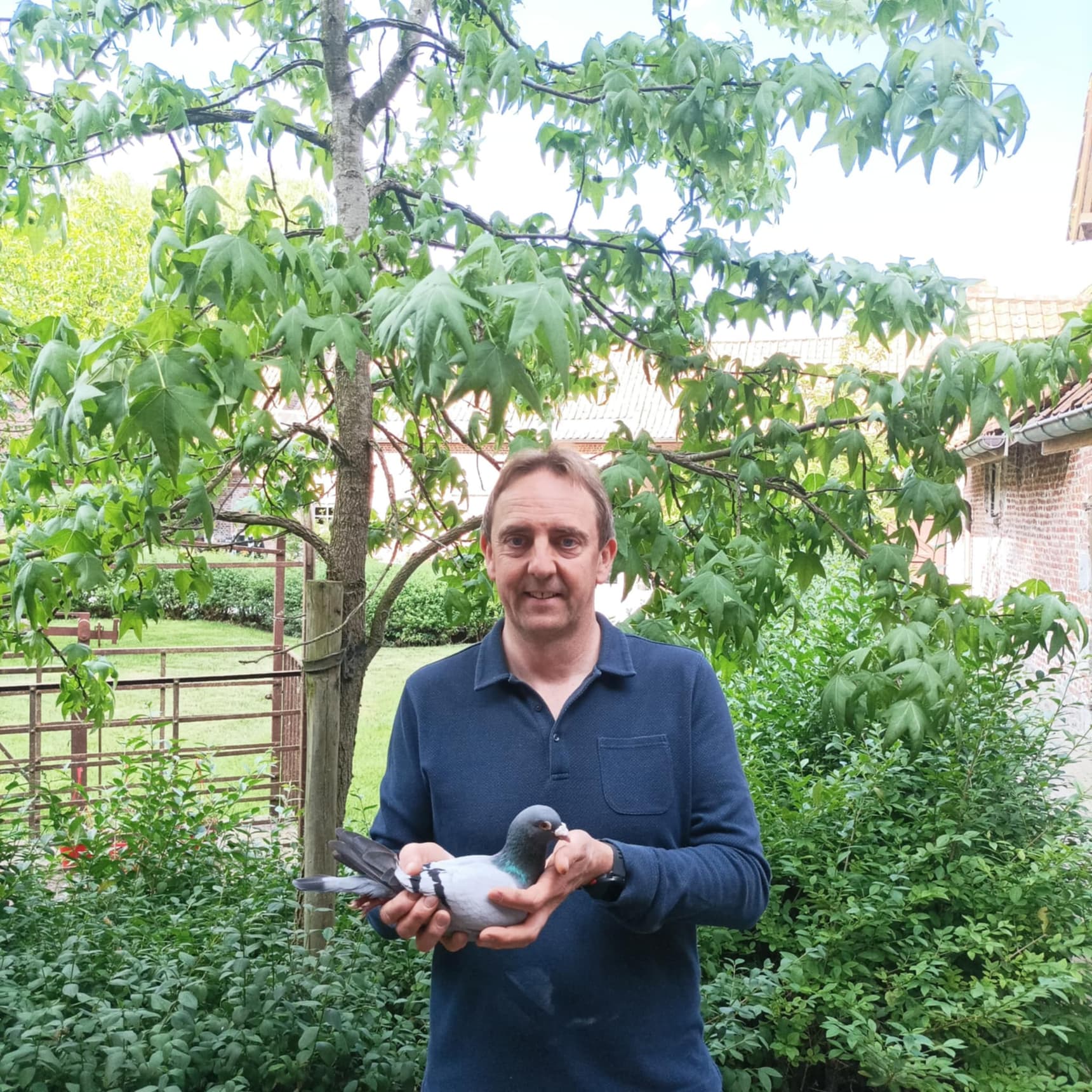 Nico Fourneau (Moen): 1st provincial Orleans 15,367 pigeons - East Flanders