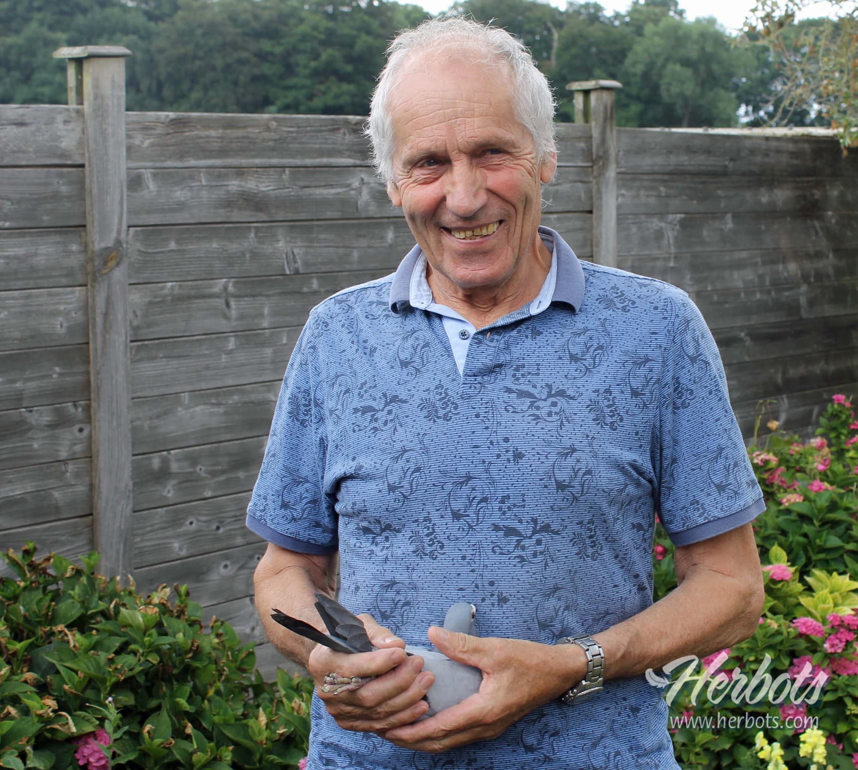 François Callebaut (Meldert-Aalst) winner 3-year classification Euro Diamond Pigeon Club 2024