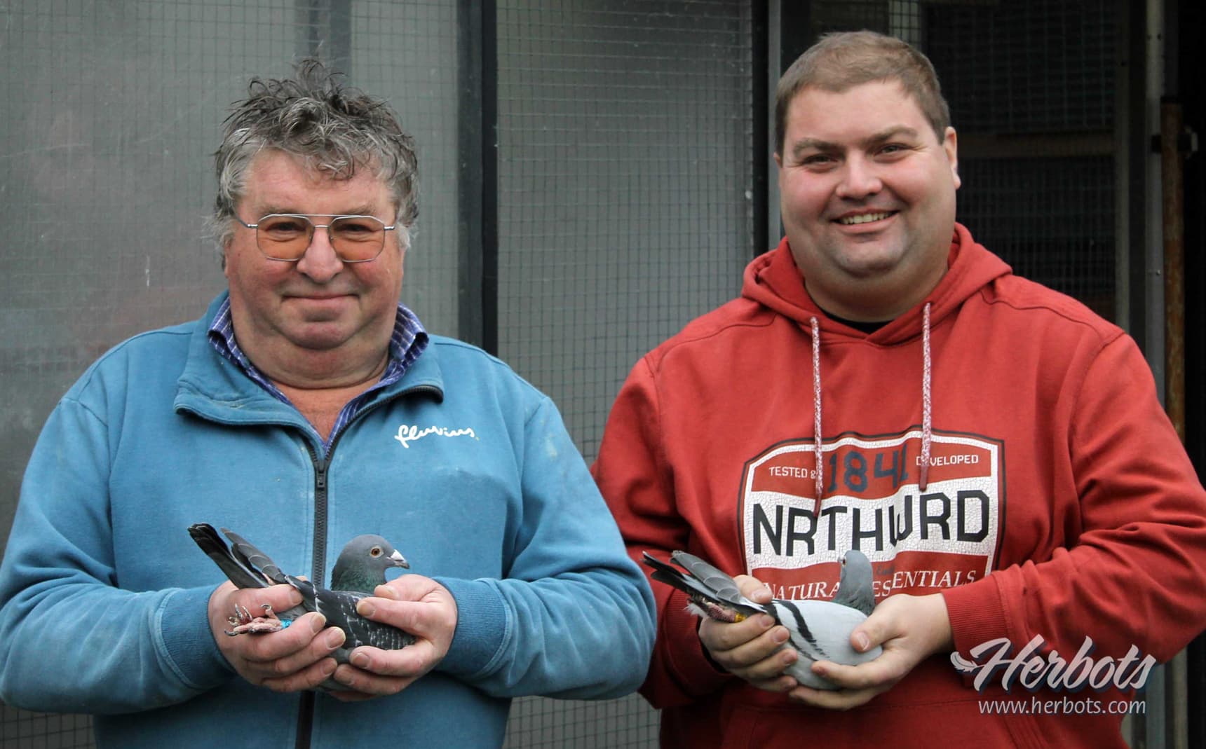 Geert Maroy (Heestert) wins 1st, 2nd and 4th national ace long distance yearlings in 2023 !
