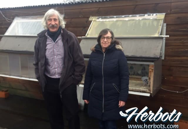 Habraken-Ducheyne (Vorselaar), middle distance toppers