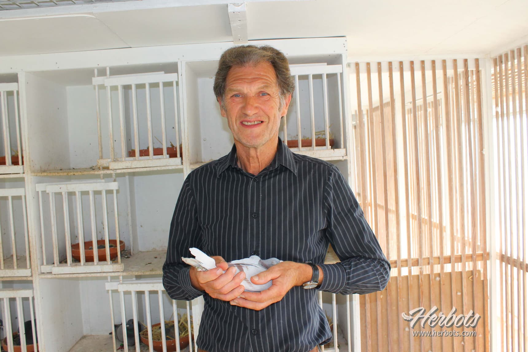Haelters Yvan - Etikhove: 1st International Perpignan 14,148b.