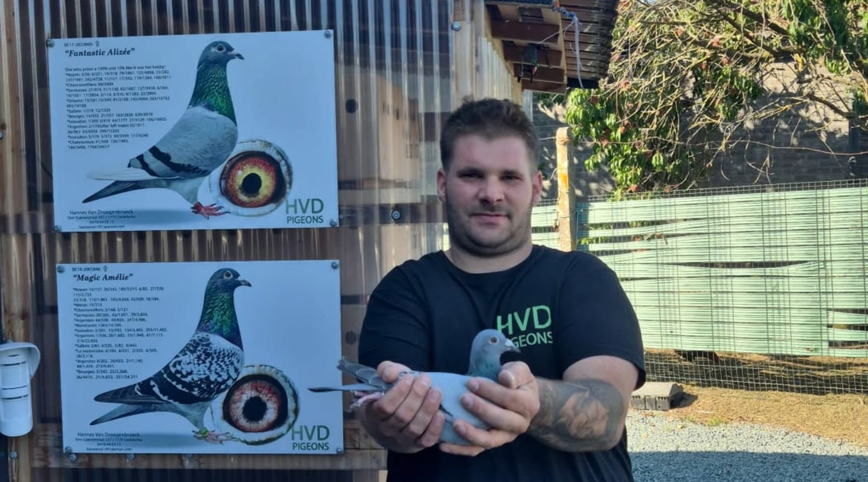 Hannes Vandroogenbroeck – 2nd Orleans (358 km) vs 798 pigeons & 7th Provincial vs 10,286 pigeons