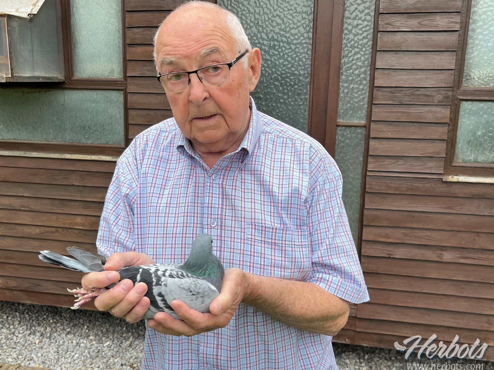 Harinck-Poelmans (Genk) wins 1st Prov. and 3rd Nat. Valence against 2,642 old birds