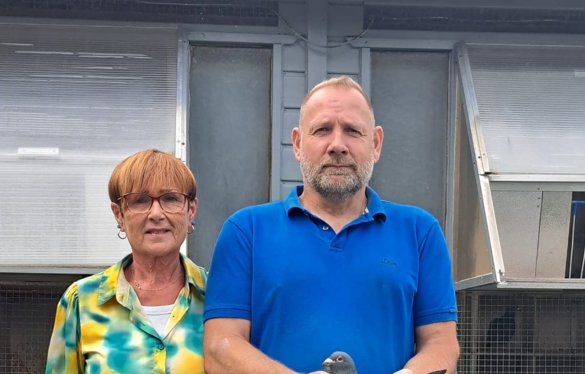 HENRY-BLANC from Colfontaine, winner of the Vierzon interprovincial (Y) and fastest of 9,242 pigeons.