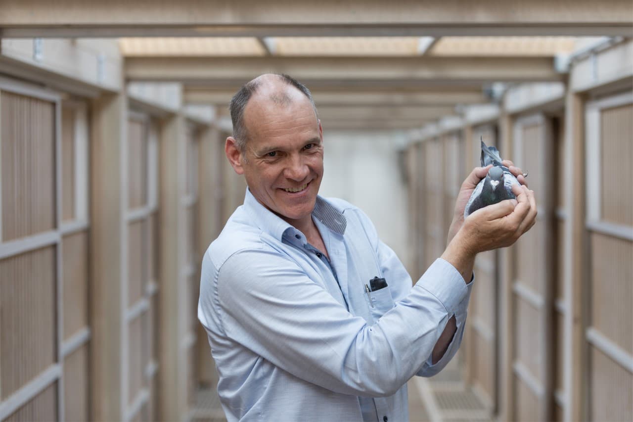 杨·胡曼斯关于利蒙治国家赛正式通告