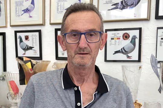杰夫·范温克（Jef Vanwinkel ）荣获波治弗拉芒布拉班特省成鸽组2874羽冠军（总5207羽最快速鸽）