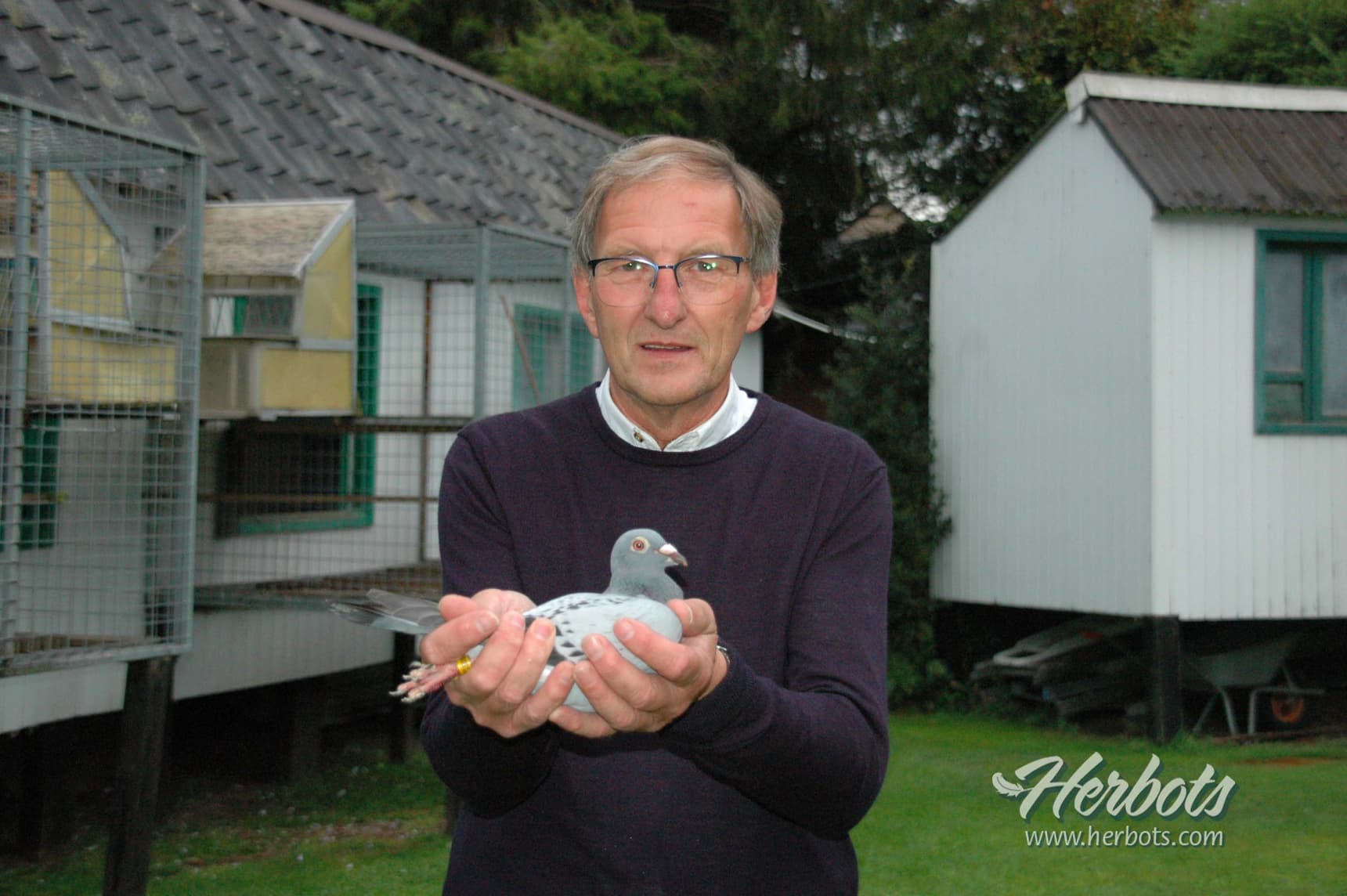 Koninx Jaak - Zonhoven: 1st Nat. Chateauroux 2,329 old + yearbirds