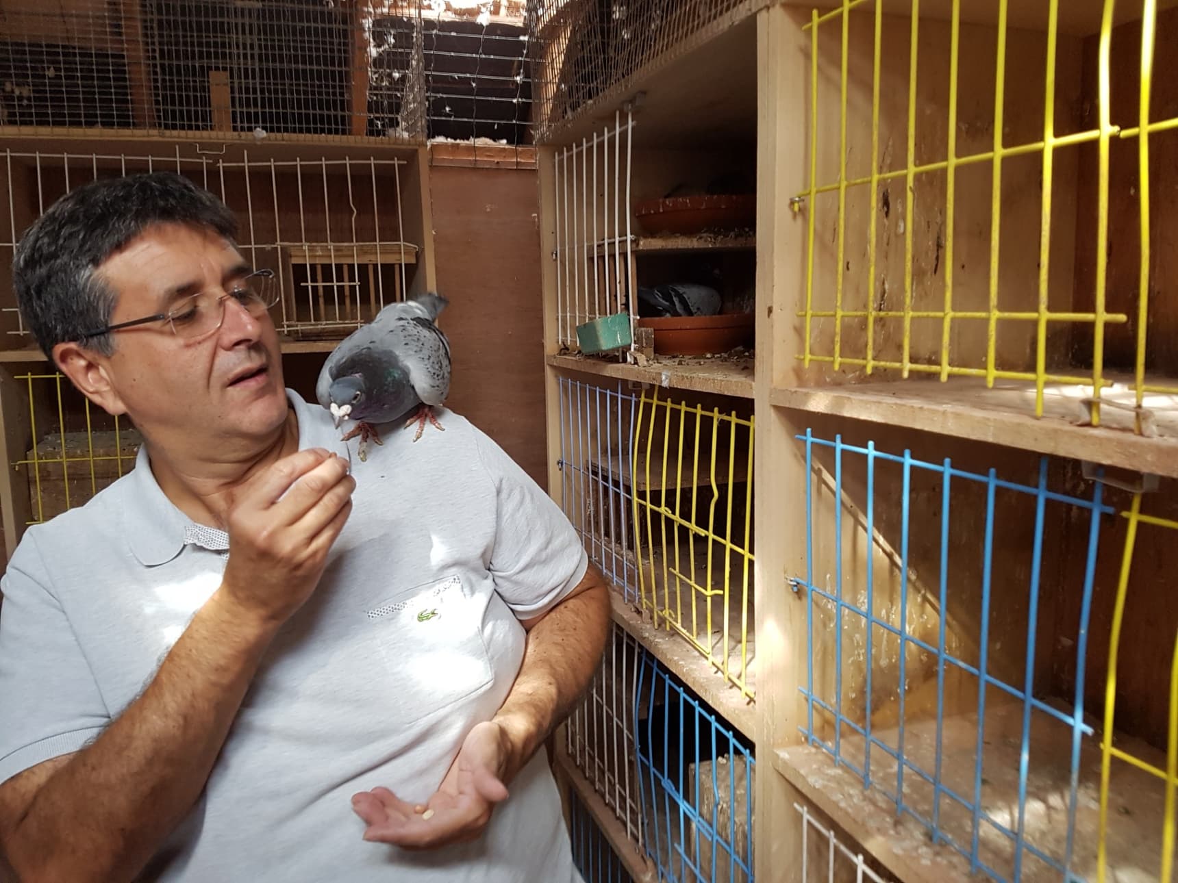 En conversation avec le président de la FCI, M. David Barros Madeira