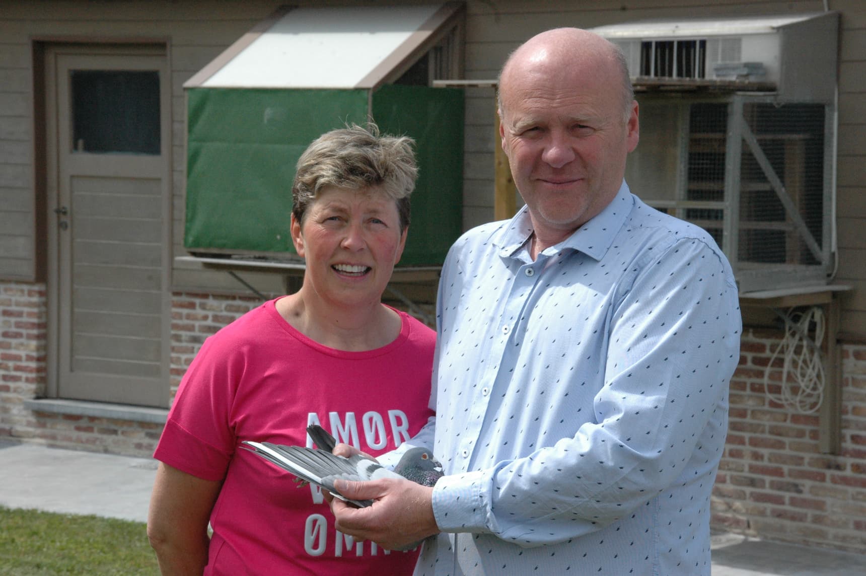 Maes Anthony – Waregem 1st National ace bird KBDB Long Distance Old 2019
