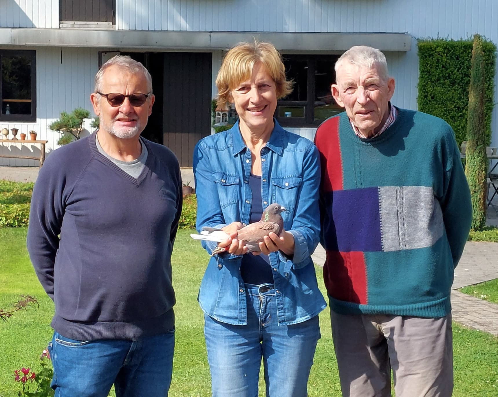 Meulemans K. & L. - Damen W. (Arendonk) win 1st Provincial Agen against 739 old pigeons in the province of Antwerp