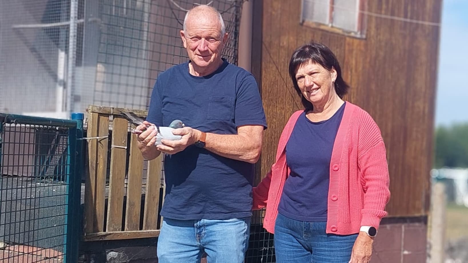 Pigeon Bids Oliviers – Devos