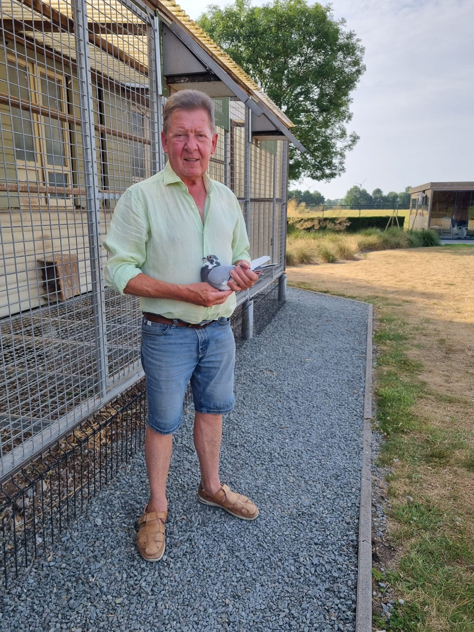 Robert Van Landschoot (Adegem) wins La Soutteraine provincial with the old pigeons