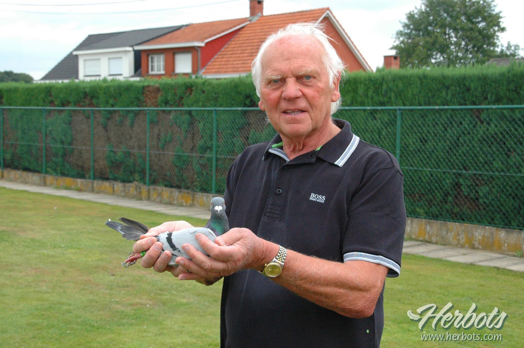 Andre Roodhooft (Pulle): 1st National La Souterraine 9,469 old birds