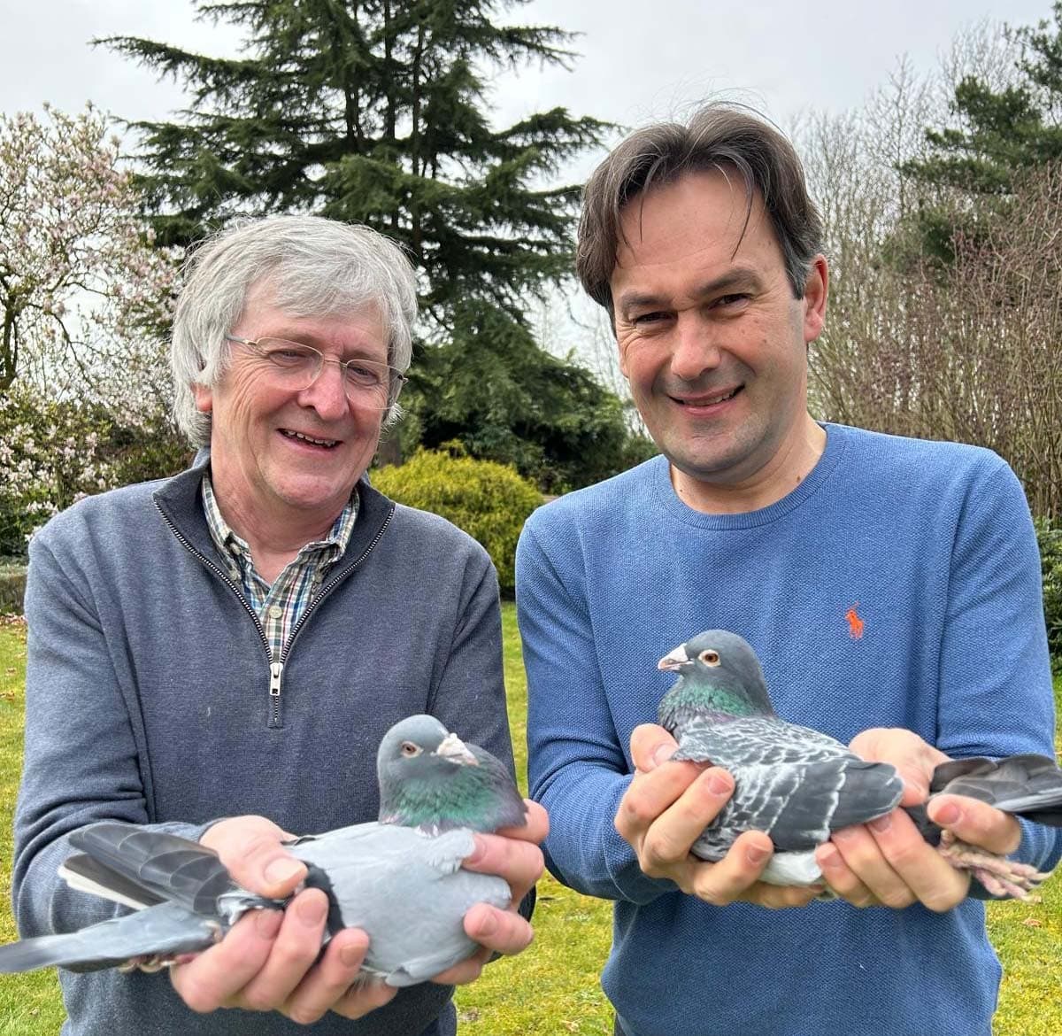 Van Looy – Van Nieuwenhuyse uit Wetteren Het hok met op haar palmares meerdere asduiven op de zware fond