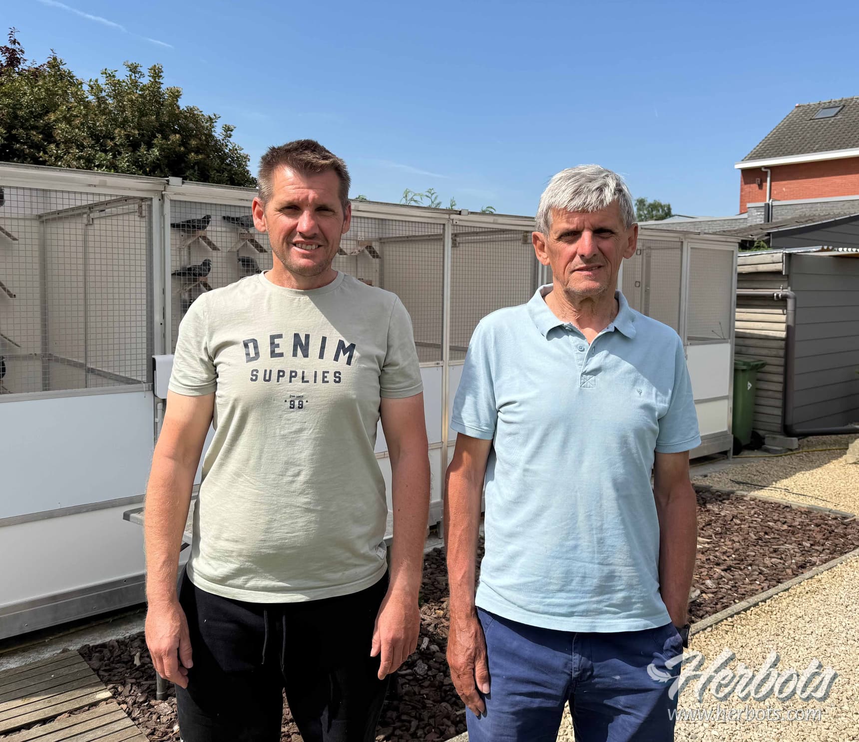 Nick & Roger Thys (Hallaar) shine again with 1st National Ace Pigeon All Round young KBDB 2024