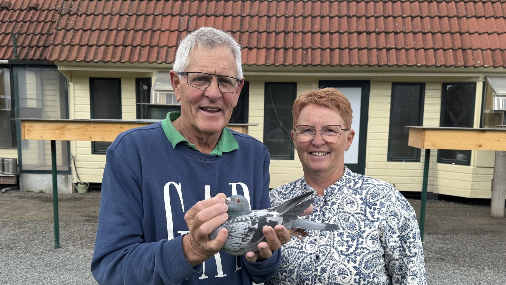 Van Elsacker – Jepsen (Schilde) 1 Nat Champion long distance yearlings KBDB 2024