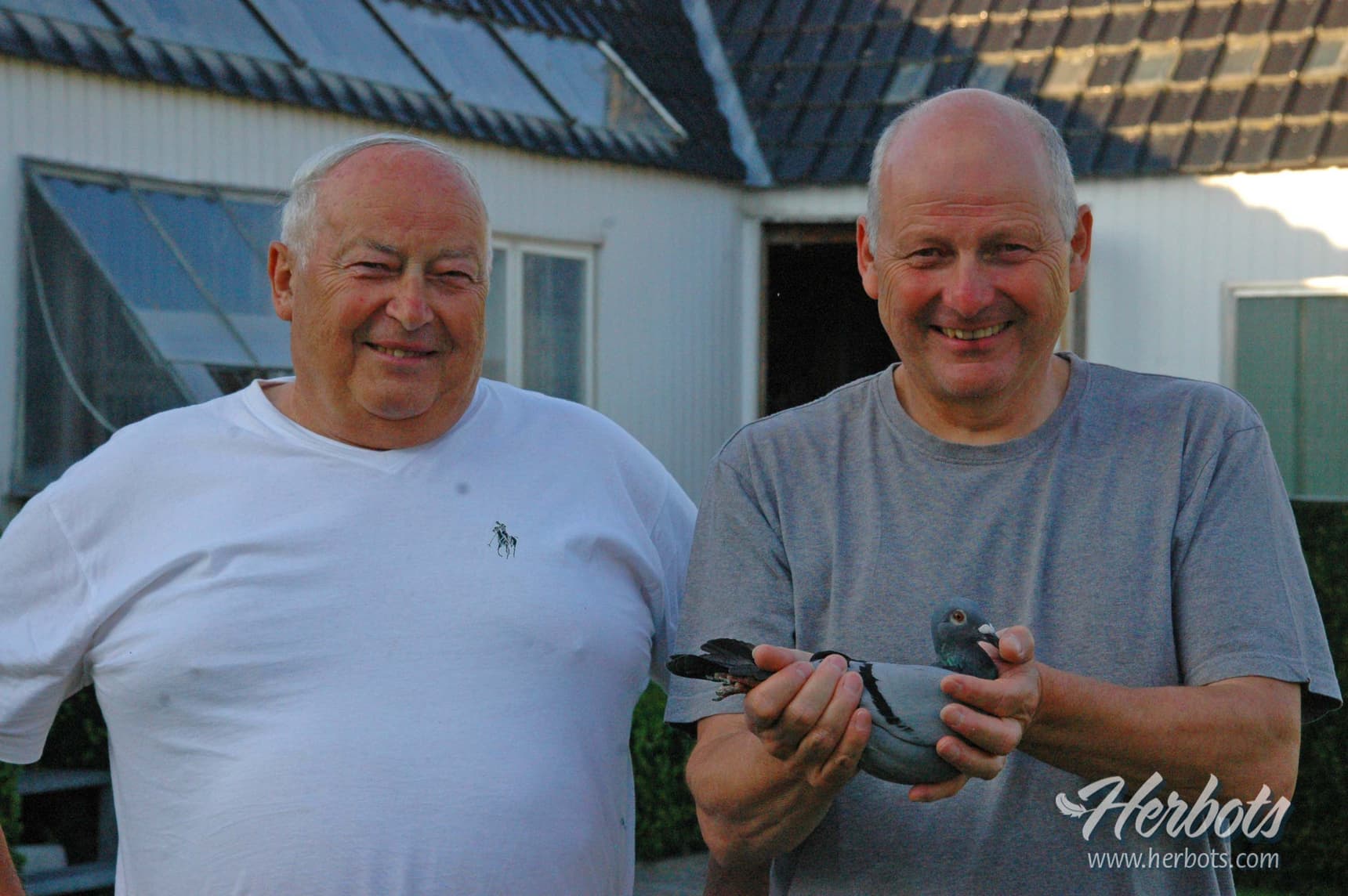 Vandenheede Freddy & Jacques (Huise): 1st, 2nd and 3rd National Limoges II against 9,756b. - 1st, 2nd and 3rd fastest of 20,075b.