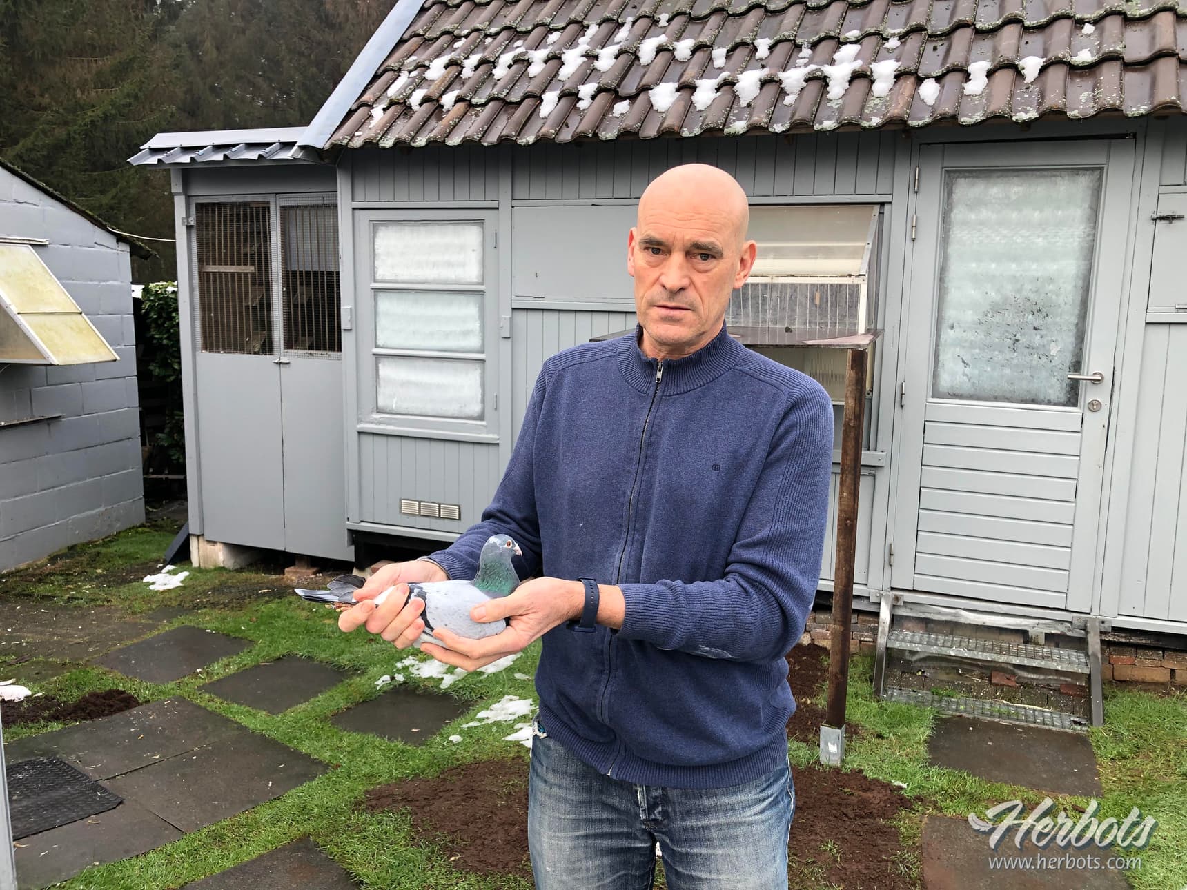 Francis Vanhamel from Beverlo wins 1st National Ace Pigeon sprint youngsters KBDB 2022