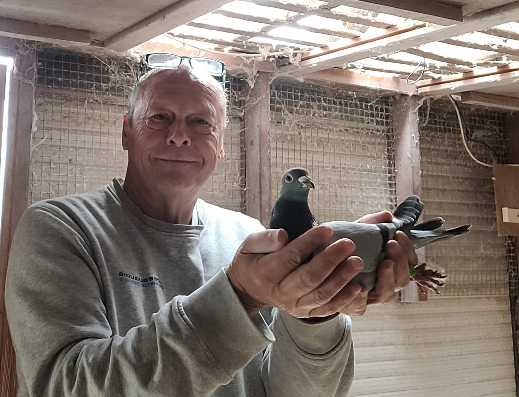 Verbergt Jan (Hombeek) remporte le 1er Provincial (Anvers) à Limoges face à 942 vieux pigeons.