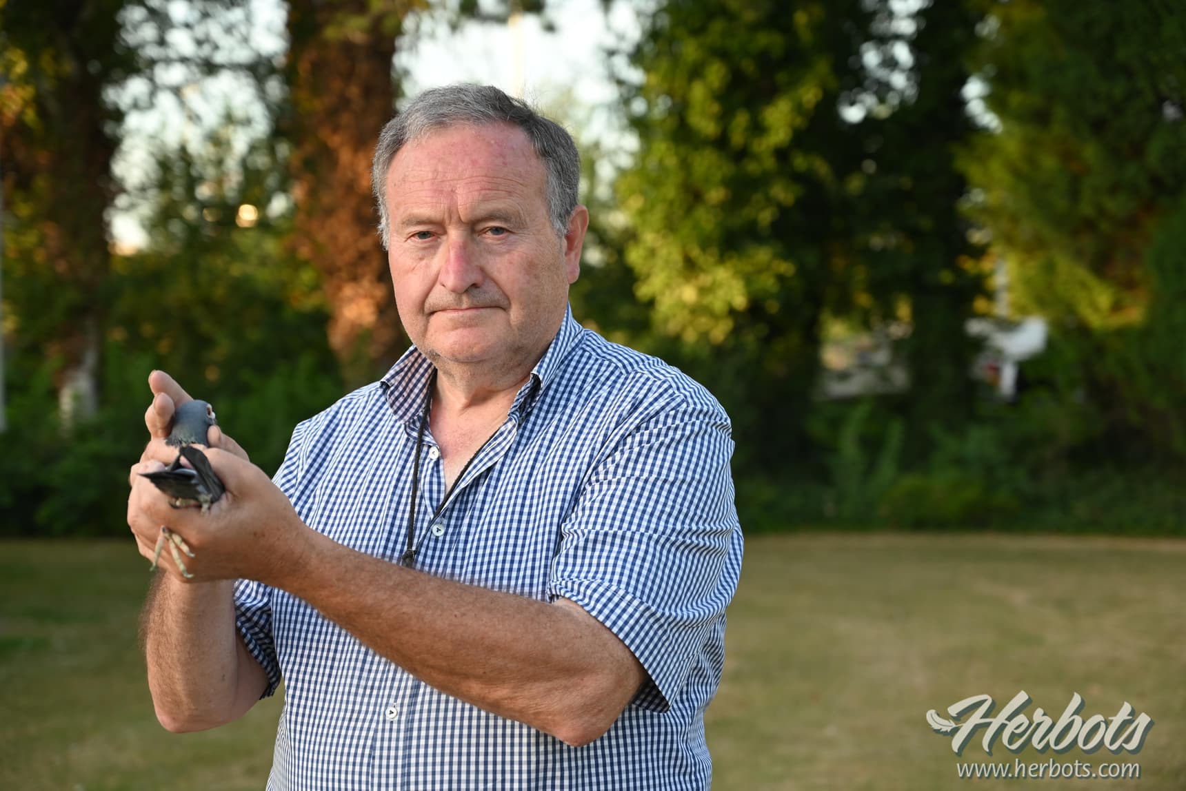 Vermander Eric - Oekene: 1st National Brive 6,117 old birds - fastest 12,002 birds