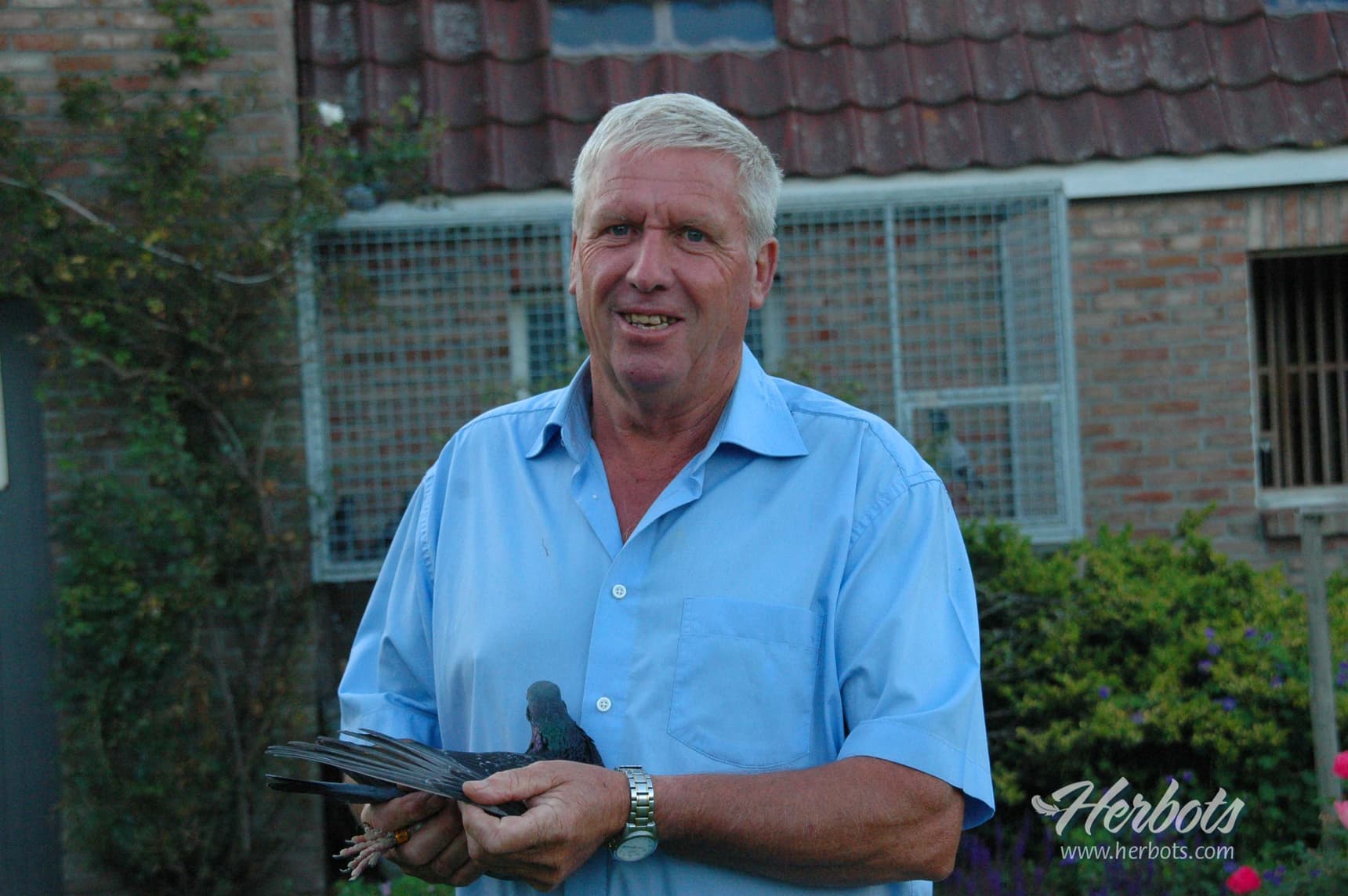 Vlaeminck Marc - Ramsel: 1st Nat. Valence 7,591 old birds