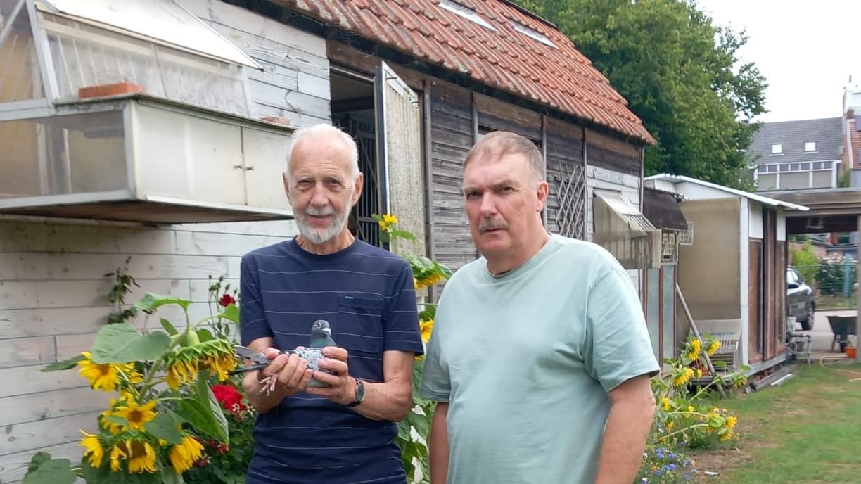 Witters – Vierendeels (Zonhoven) wint 1ste Provinciaal Libourne 307 oude