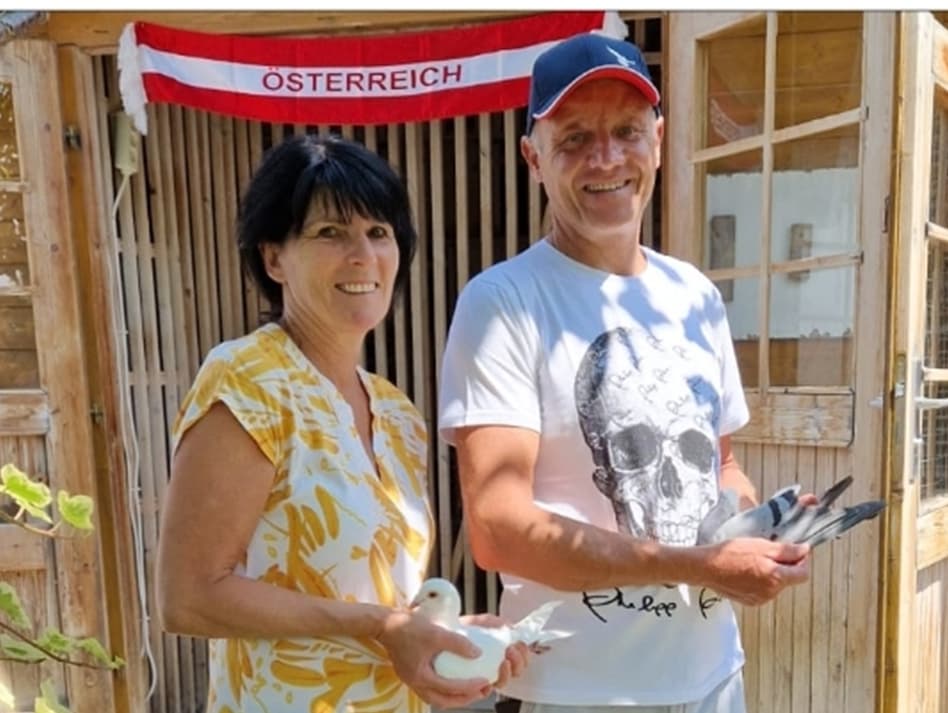A passion for pigeons - Wolfgang & Andrea Miks