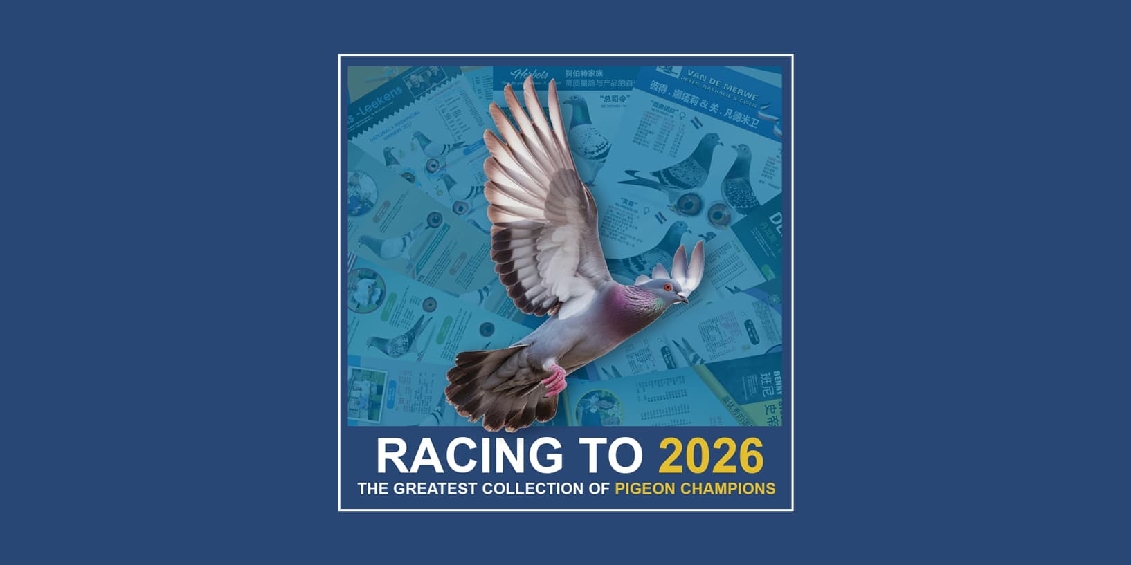 Uitnodiging tot deelname in onze Racing brochure "Racing To 2026"