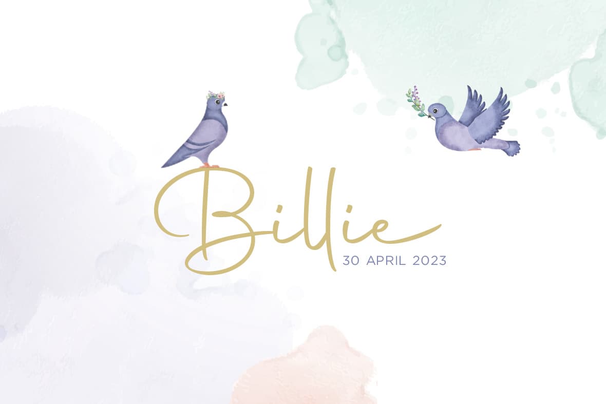 我们对孙女“Billie”的诞生感到非常高兴