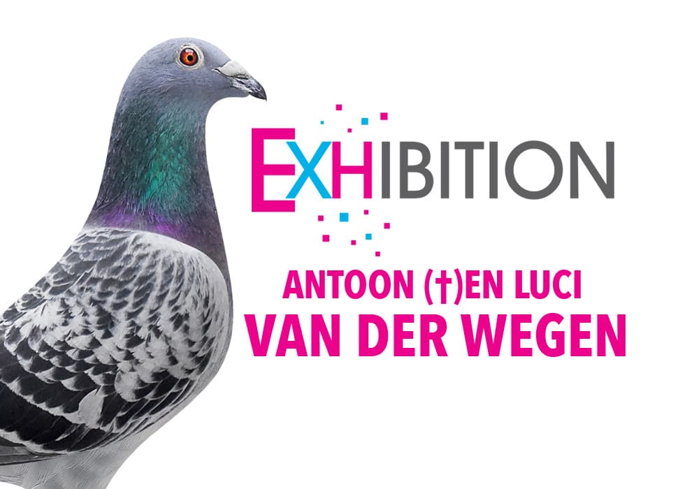 Exposition Antoon et Luci Van Der Wegen