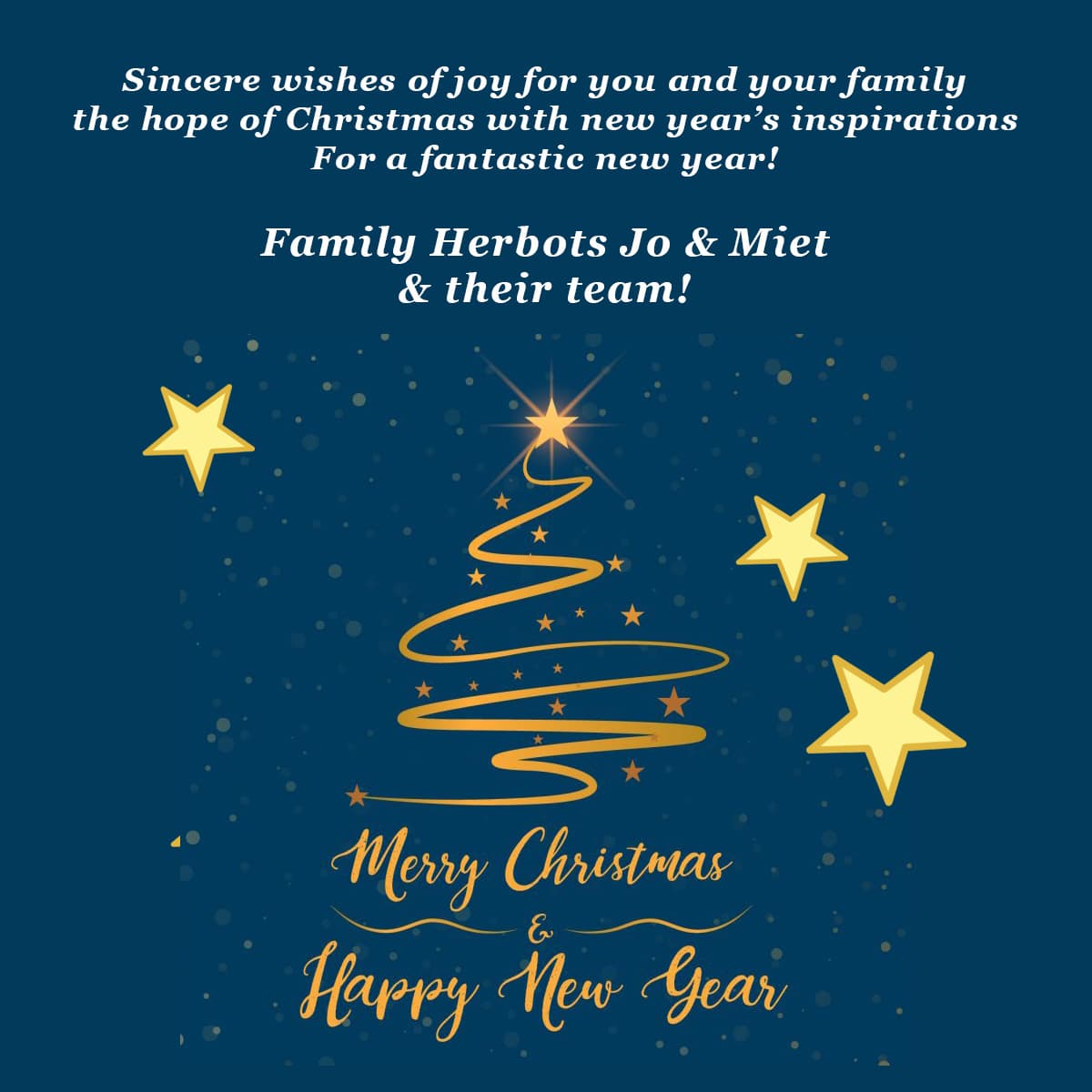 MERRY CHRISTMAS & HAPPY NEW YEAR