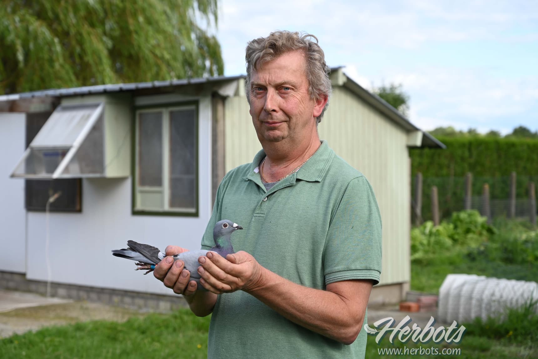 Jespers – Vanderwegen from Holsbeek confirm their top status with 1st National Tulle 4,982 old pigeons in 2023