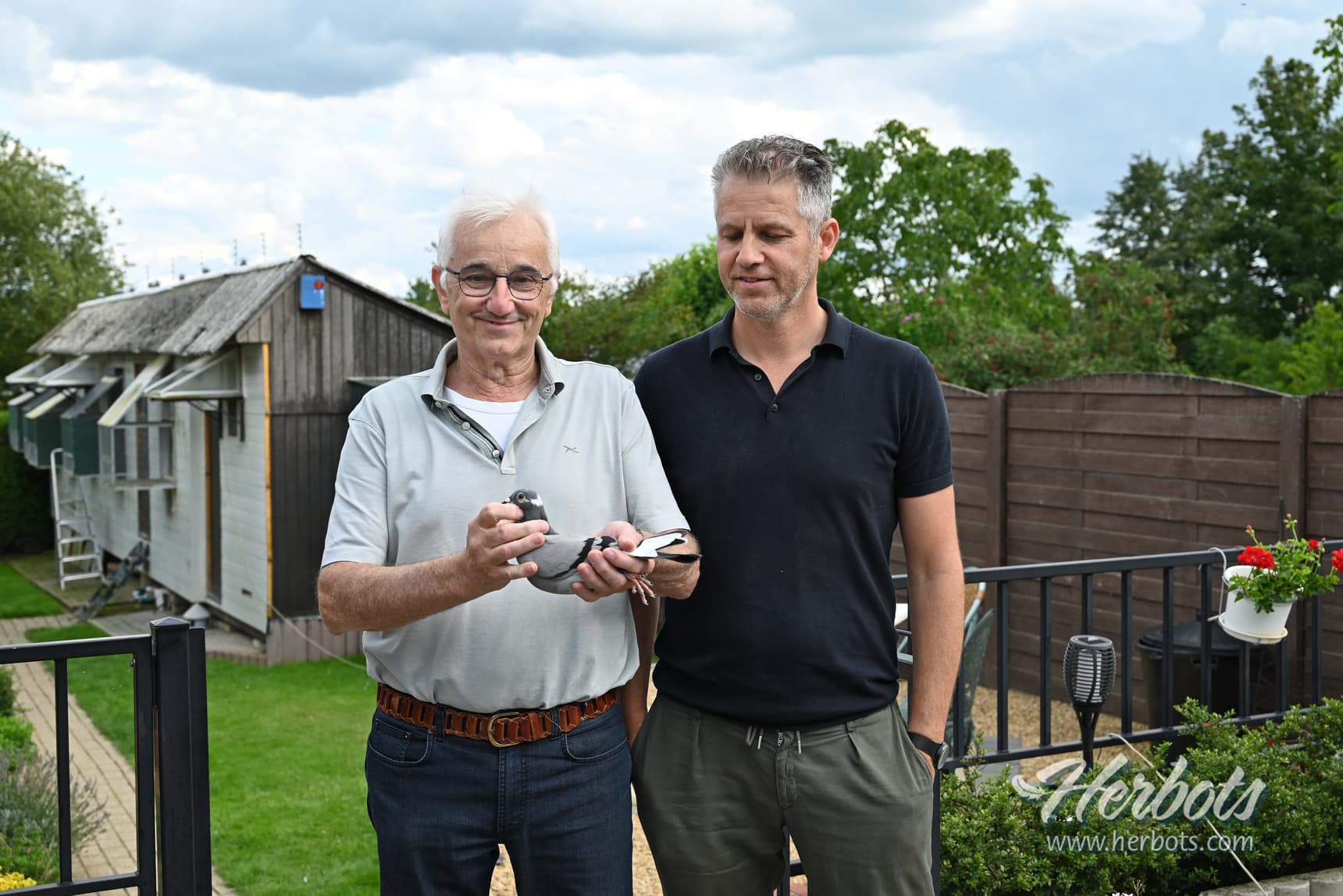 Vanhoudt – Serre (Diest) win 1st Provincial Tulle 450 old birds