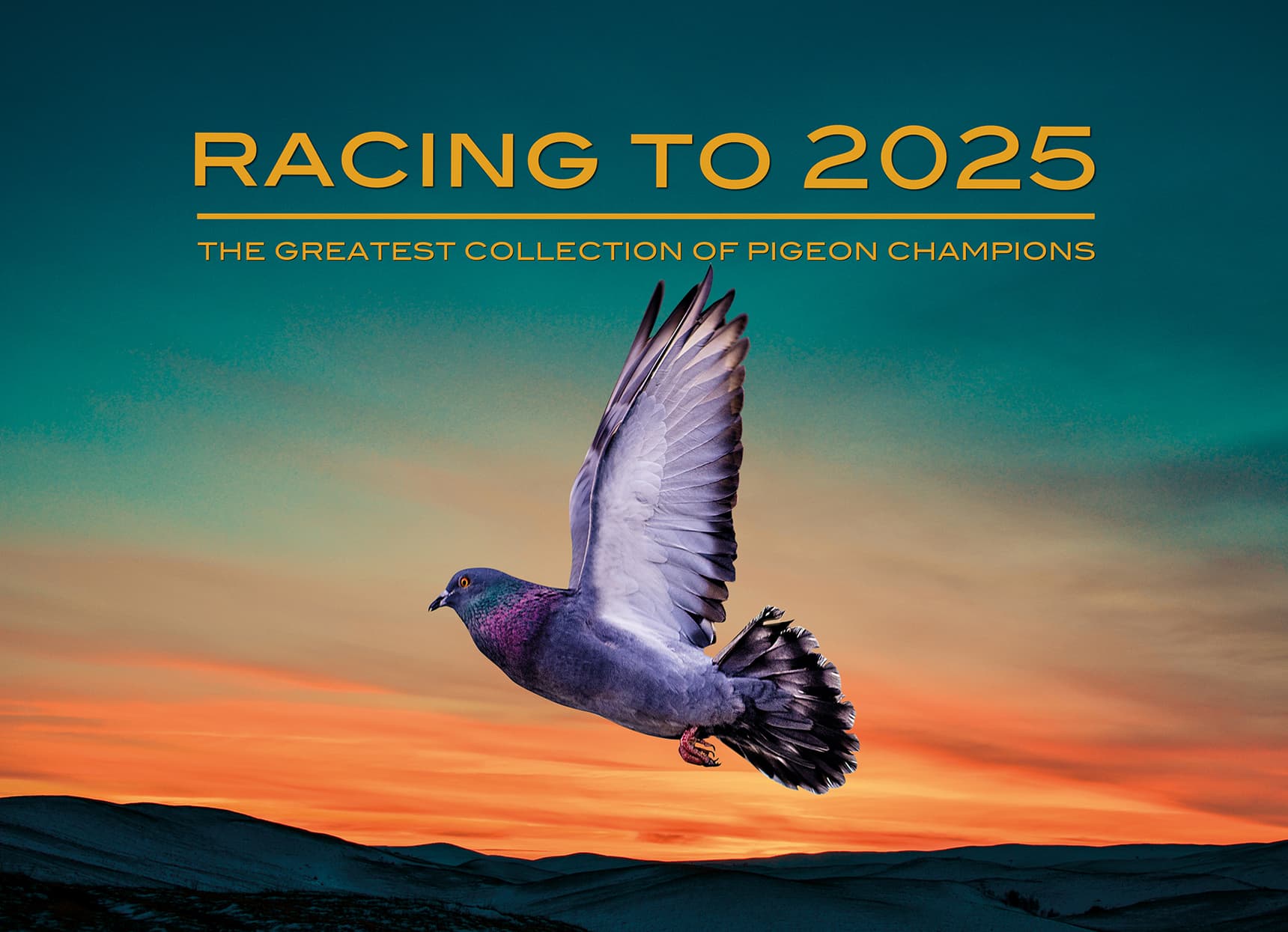 Participation in our brochure "Racing To 2025"