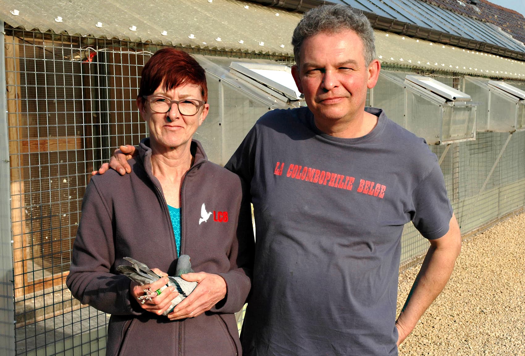 Surinx-Pletsers (Nieuwerkerken) - a top sale with amazing short distance pigeons