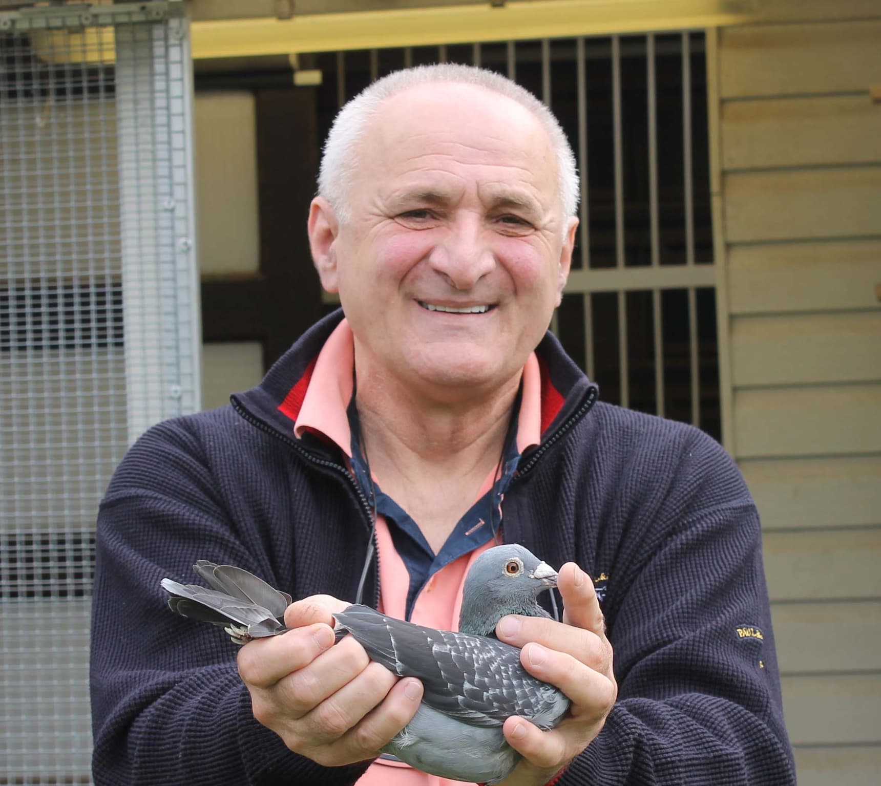 Milovic Mirko & Darko: Essen: 1st National Perpignan 5,722 old birds