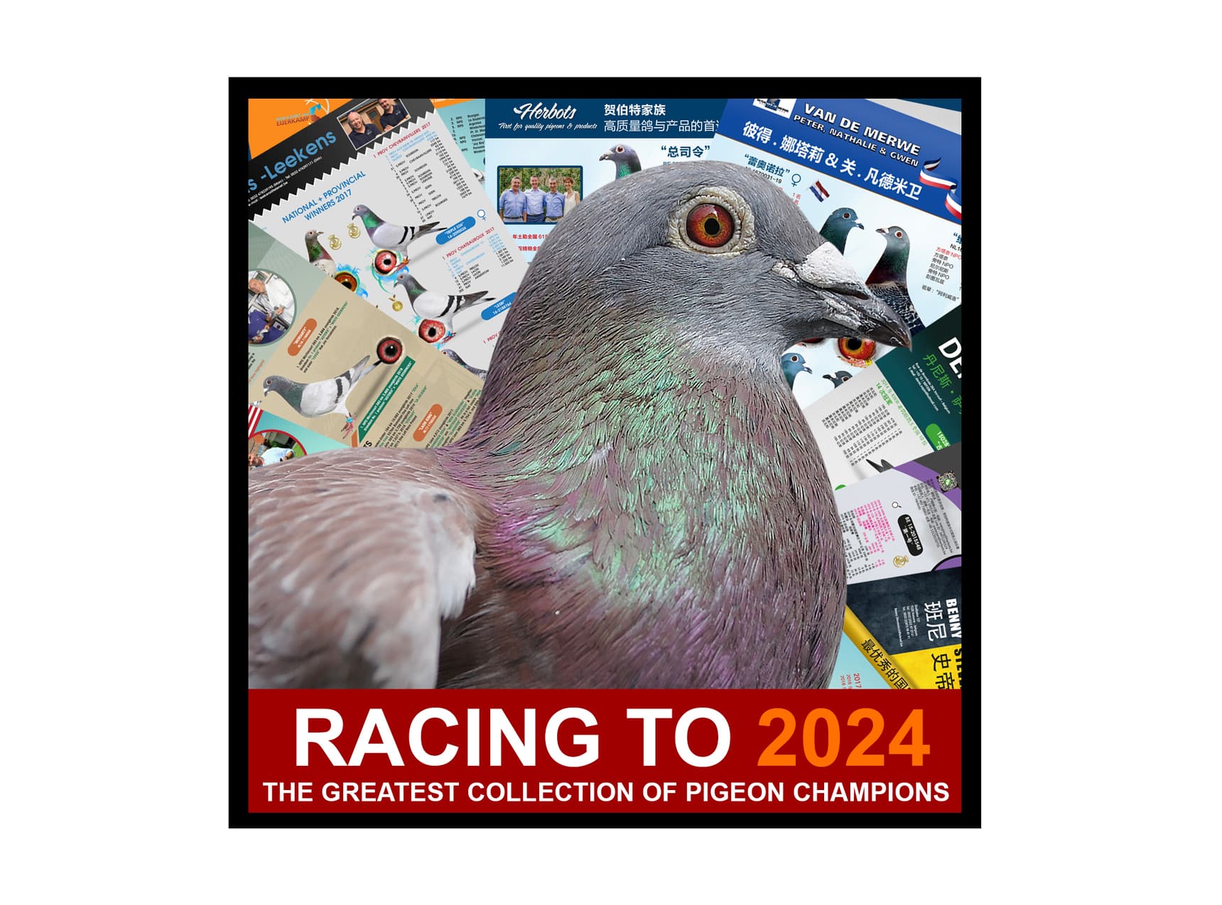 Participation à notre brochure "Racing To 2024"