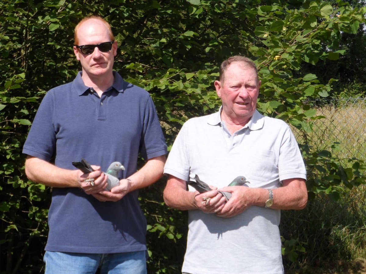 Pigeon Bids Kipp und Söhne 2024